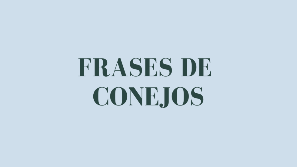Frases de conejos