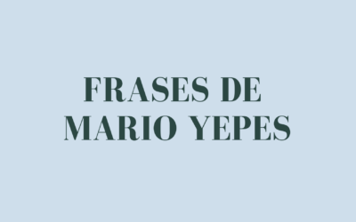 Frases de Mario Yepes