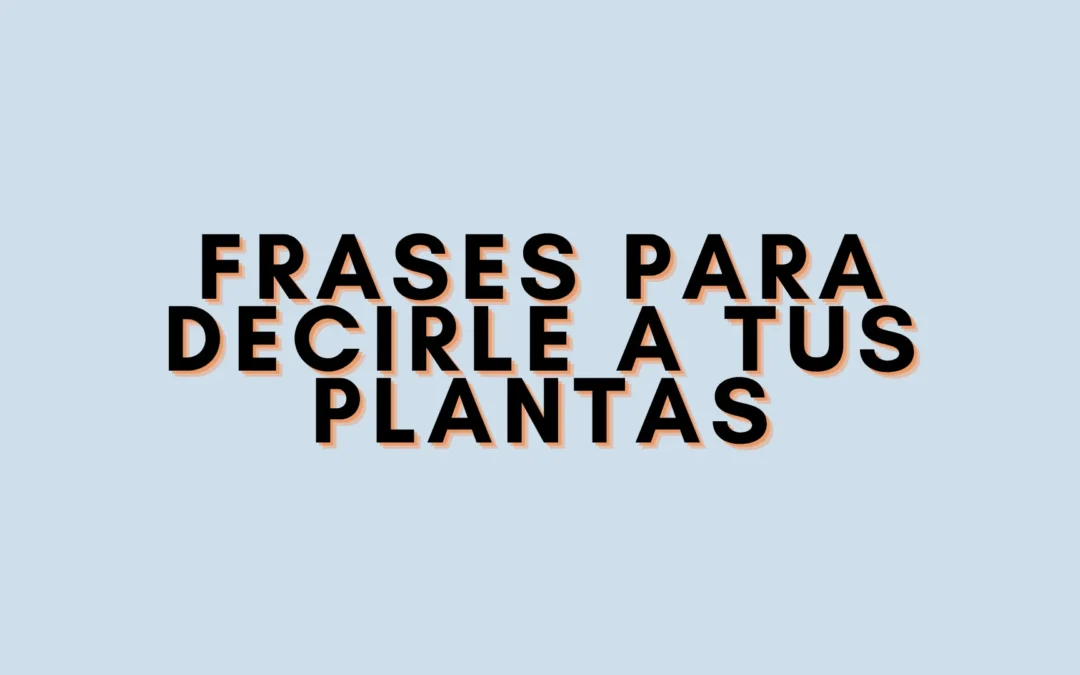 Frases para decirle a tus plantas